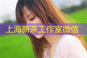 爱上海419：森林里的野生动物