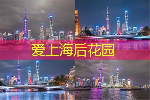 上海新茶工作室：探索茶的无限可能！上海新茶工作室带你领略茶叶的世界在哪