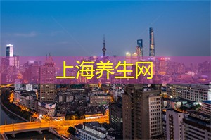 爱上海419论坛：城市摄影师的夜上海之旅：猎取不一样的夜光风景