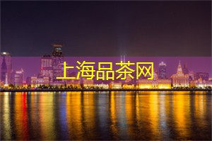 上海各区新茶工作室：夜上海，探访隐秘的夜店文化