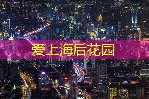 上海龙凤419：无情