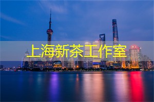 上海新茶网：魔都之旅：深度探访上海的绝美景点与美食